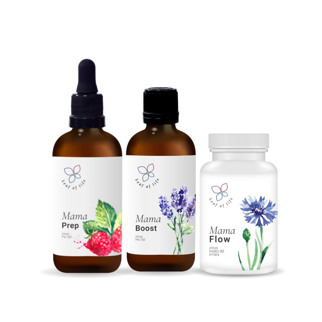 מארז לידה והנקה